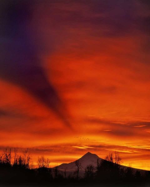 Oregon Sunrise with mountain shadow over Mt Hood